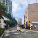 우성체육관 | 동대문구 아파트, 우성 그린 아파트 임장 후기