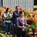 도청농장 이미지