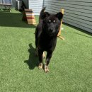 아이조아 본점 이미지