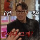 개날라리 이미지