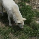 신덕농장 이미지