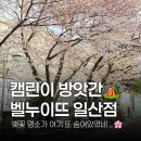 벨누이뜨 | [파주 탄현] 벨누이뜨 일산점 | 여긴 진짜 모를텐데? 캠핑용품 편집샵에도 이색 데이트 가능한 숨은...