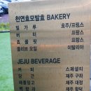 외도339오이디오339