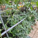 홈당골펜션 이미지