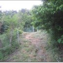 거제종합사회복지관 뒤 이미지