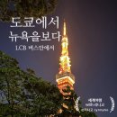 [도쿄 여행] 미국 살다 온 내 눈에 보인 도쿄의 반전: "여기 왜 뉴욕 퀸즈(Queens) 같지?"