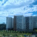 푸른숲한의원 이미지