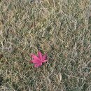 코오롱가든골프장 이미지