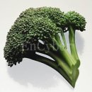 편한건강식품