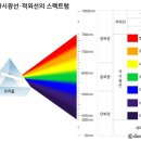 햇빛안경 네이버블로그