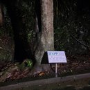 그리드렌트카 | 8-9월 일상 | 서울여행.올림픽홀.웨이션브이.졸업식.제주바다.그리드아일랜드