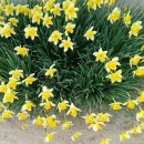 연포마을회관 이미지