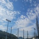 진남체육공원 야구장 이미지