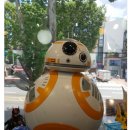 백운호수약국 이미지