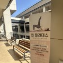 린 | 산전산후 운동 린필라테스 후기