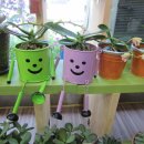 커피꽃향기 이미지