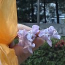 별내중앙로102 이미지