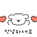 본가건하은칼국수