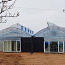 전군주유소 이미지