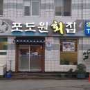 포도원회집