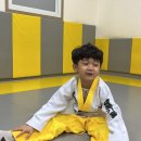 키움태권도장 이미지