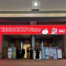 라임캣 | 코엑스 ‘가낳지모 캣페어’ 2026 후기 | 참가업체 • 오픈런 사은품