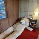 UR(화성시)-[은행나무로802번길]-상-1 | 화성 향남 대형카페 테디스로드 베이커리카페 주차