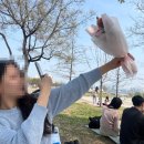 세븐일레븐자양3호점 이미지