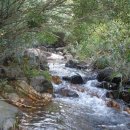 봉오2리 Daum카페