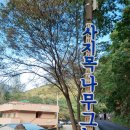 사지목나무그늘 이미지