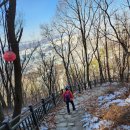 금동초등학교 | 호암사 등산 코스 추천! 힐링하고 온 주말 산행