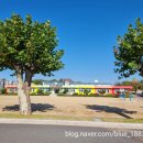 쌍룡초등학교병설유치원 이미지