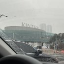 비취 블루베리 | 늙은이의 도자캣 콘서트 스탠딩 후기