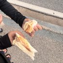 미스터뚱돈까스옥계점 | 어쩌면 마침표 .