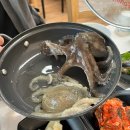 멕시카나 충남홍성점 | [충남] 남당항 새조개 축제 찐후기 남당항 1박2일 여행코스 추천