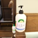 사계참치
