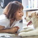 수원시동물보호센터 동물병원 이미지