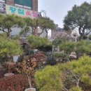 세가래로 이미지