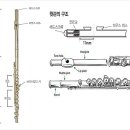플루트 이미지