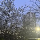 크로스핏 스네일 | 하남 크로스핏 스네일 8개월 다닌 후기! (위치, 가격)