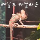 자연생태박물관 이미지