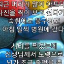 플라시보 이미지