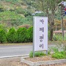 한스애견 | 밀양 카페평리 단장면 카페 애견동반 가능