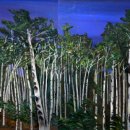 성남대로 이미지