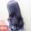 하움헤어