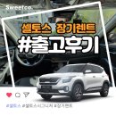 주식회사 와이즈테일 | 2023 셀토스 장기렌트 출고 후기/ 더 뉴 셀토스 시그니처