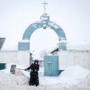 Turning Red 이미지