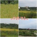 정다운모터스 이미지