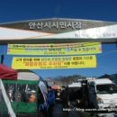 안산시민시장