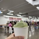 니서푸드 | 코스트코 푸드코트 신메뉴 말차 아이스크림 가격 맛 후기